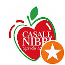 Amelia Nibi Amelia Nibi