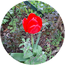 Catia “Cat” Di Persio